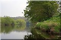 River Tees near Beverley Wood