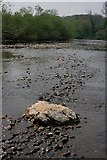 NZ3407 : River Tees near Sockburn by Mick Garratt
