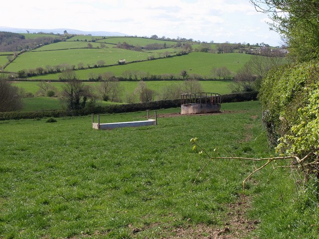 Field near Swannaton