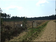 SU1109 : Plumley Wood, Cleared Forest by Lorraine and Keith Bowdler