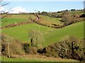 Looking up the Valley Towards Netherton