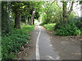 Reigate: Foot and cycle way