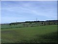 Towards Chacefield Wood