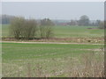 Fields near Bidwell Farm