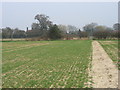 Approaching Studham on the Chiltern Way