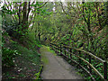 Path by the Lyne Burn