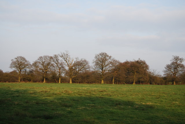 Open countryside in the Dollis Brook Valley