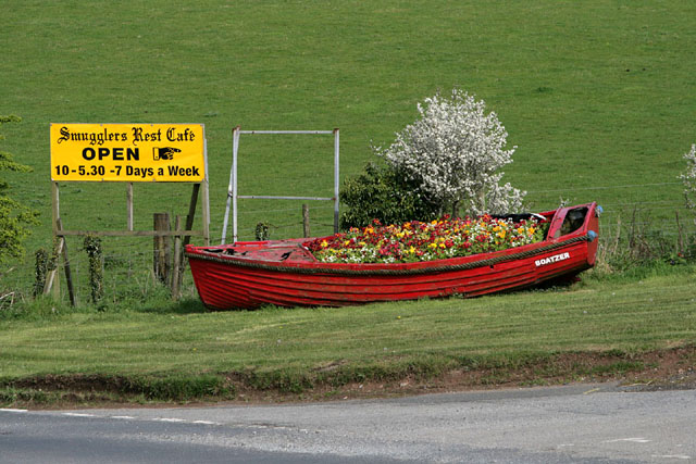 Rowing boat planter