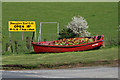 Rowing boat planter