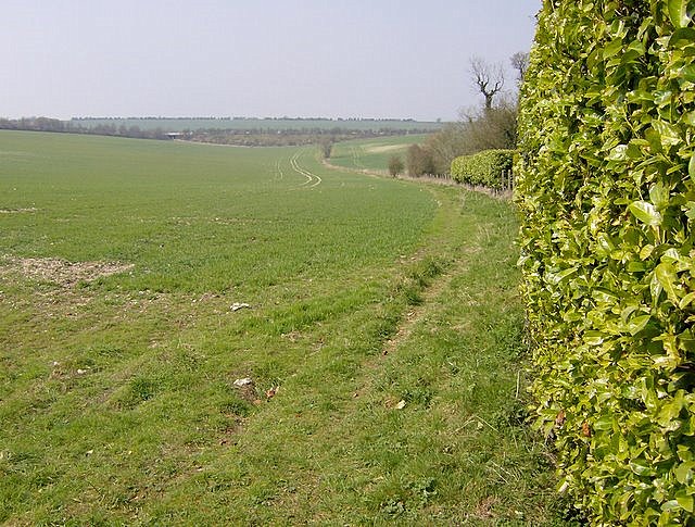 Footpath out of Dummer