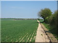 Footpath to Stoneheap Farm (3)