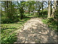 Byway approaching Males Farm