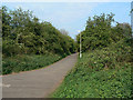 Footpath on the old railway