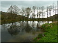 Lake at Llanllawddog - looking south west