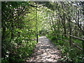 Footpath - Lawson Street