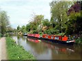 Narrowboats on the Macclesfield Canal