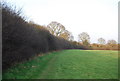 TQ2395 : Dollis Valley Greenwalk along the hedge by N Chadwick