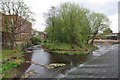 Weir on The River Don