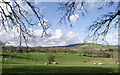 Farmland south of Rhandirmwyn, Carmarthenshire