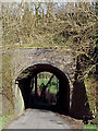 Railway bridge north-west of Cynghordy