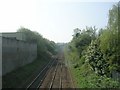 View from Footbridge - Dalcross Grove