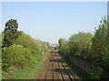 View from Footbridge - Dalcross Grove