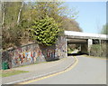 Lane to Pandy Park, Crosskeys