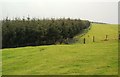 Forest and Pasture on Cairnwhin Hill