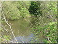 Pond in Barrow Hill Local Nature Reserve