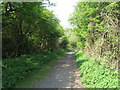 Dismantled Railway, Barrow Hill