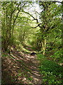 SO7098 : Bridleway heading for the Severn Gorge by Richard Law