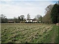 Grassland east of Aldborough Mill