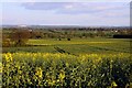 Looking over the rape towards the Chilterns