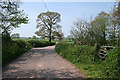 Cullompton: Colebrooke Lane