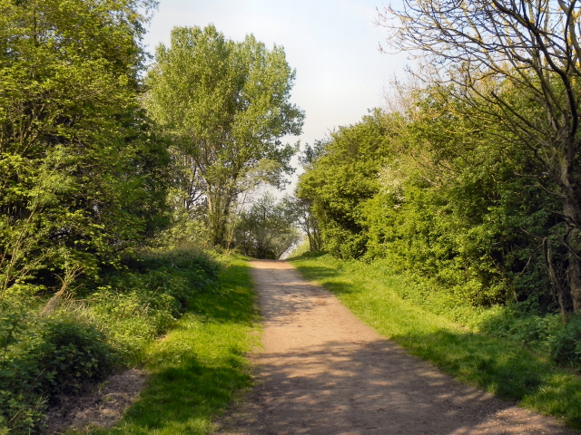 Pennington Flash Country Park © David Dixon cc-by-sa/2.0 :: Geograph ...