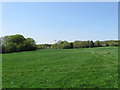 Barn Meadow/Upper Stone Rock/Long Field