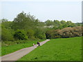 Stockwood Open Space