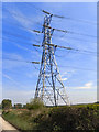 Electricity Pylon, Carrington Moss