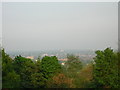 South Norwood Hill: evening view eastwards