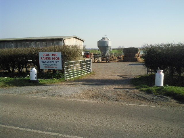Entrance to The Witches Twist Chicken Farm