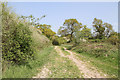 Footpath to Laurel Farm