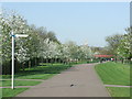 Springtime in Burgess Park