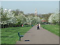 Springtime in Burgess Park