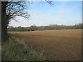 Field east of Alby Hill