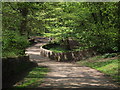 Woodland footpath in Astley Park