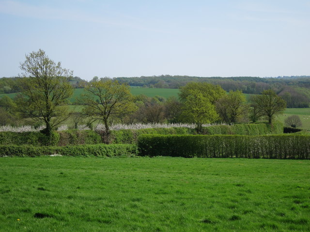 Fields by Curtisden Green Lane