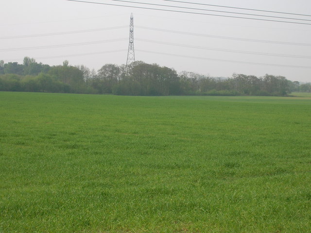 Farmland, Thornton Common