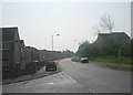 Rowantree Drive - viewed from Rockwell Lane