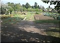 Lower Slaughter Allotments