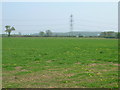 Farmland near Pasture Farm